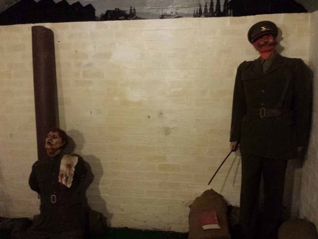 Death by firing squad.